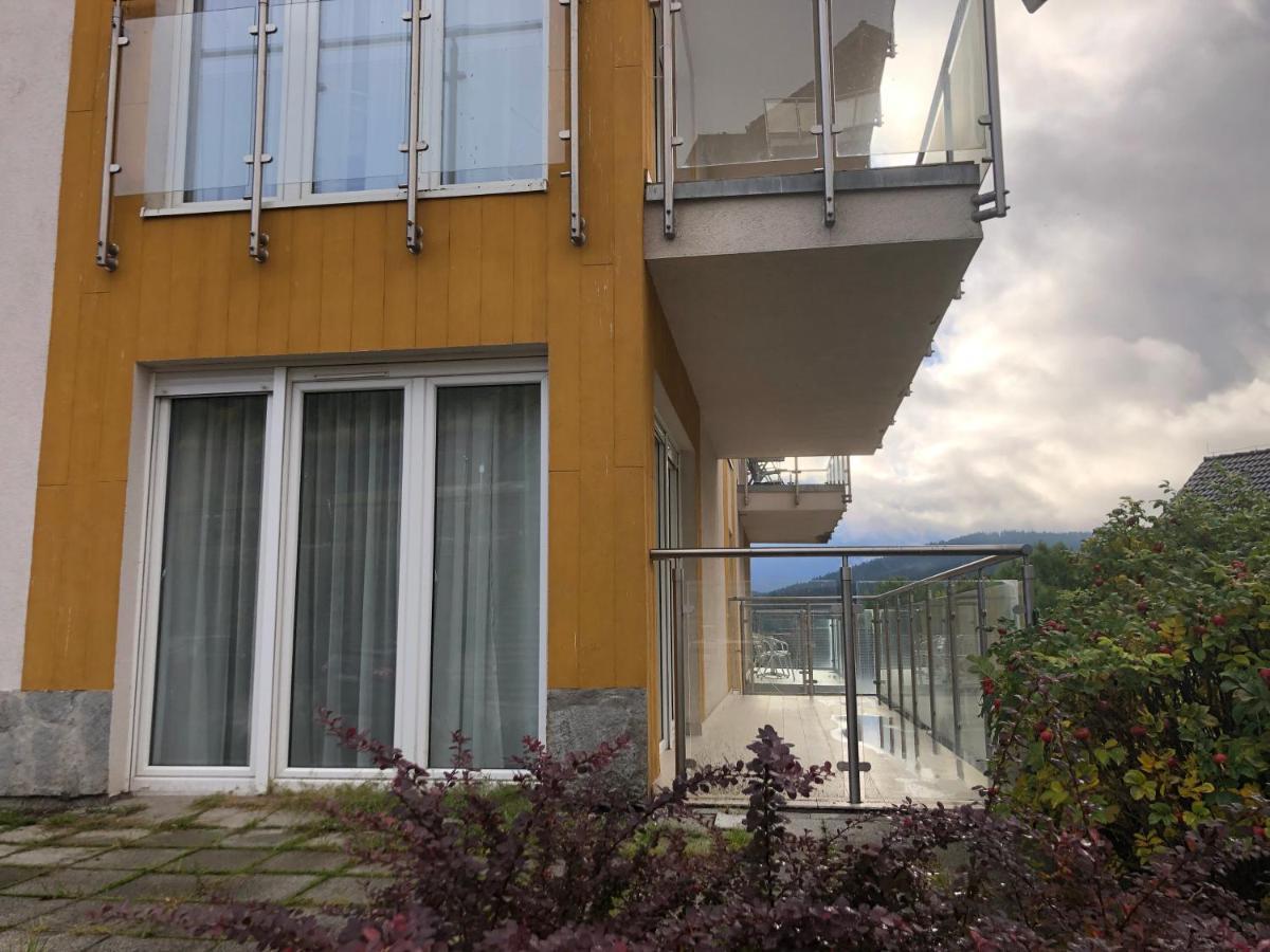 Apartament Studio Czarna Gora II シェンナ エクステリア 写真